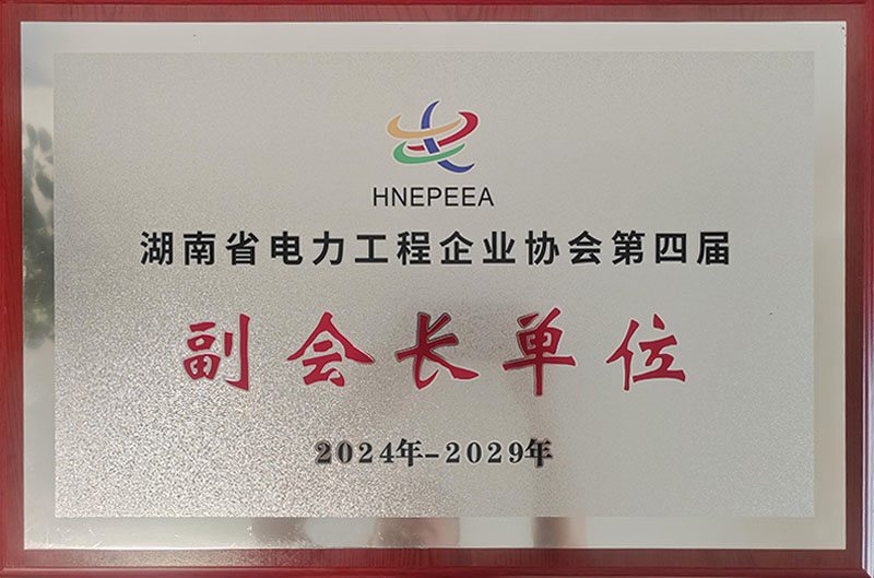 2024-2029年湖南省电力工程企业协会第四届副会长单位